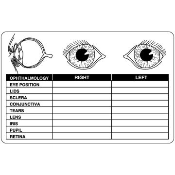 Examination Record Label, 4" x 2-5/8"