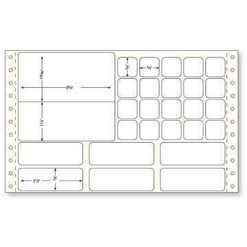 Sunquest Microbiology Work Card, 8" x 5-3/8"