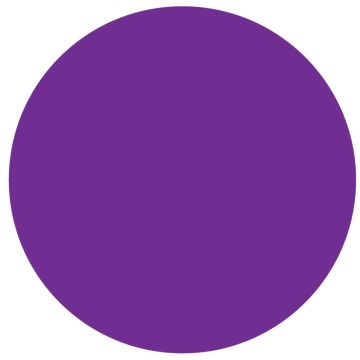 Purple Paper Circle 3" Dia
