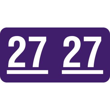 UAL 2027 Year Label, Purple, 1" x 1/2"