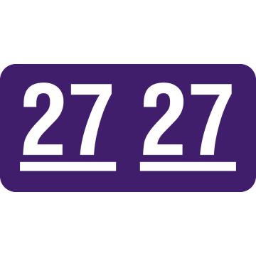 UAL 2027 Year Label, 1" x 1/2"