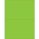 Laser/Inkjet Printer Label, 8-1/2" x 5-1/2", Green