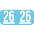 Tab Compatible 2026 Year Label, 1-1/8" x 1/2"