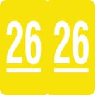Ames Compatible 2026 Year Label, 1-7/8" x 1-7/8"