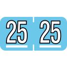 Barkley Compatible 2025 Year Label, 1-1/2" x 3/4"