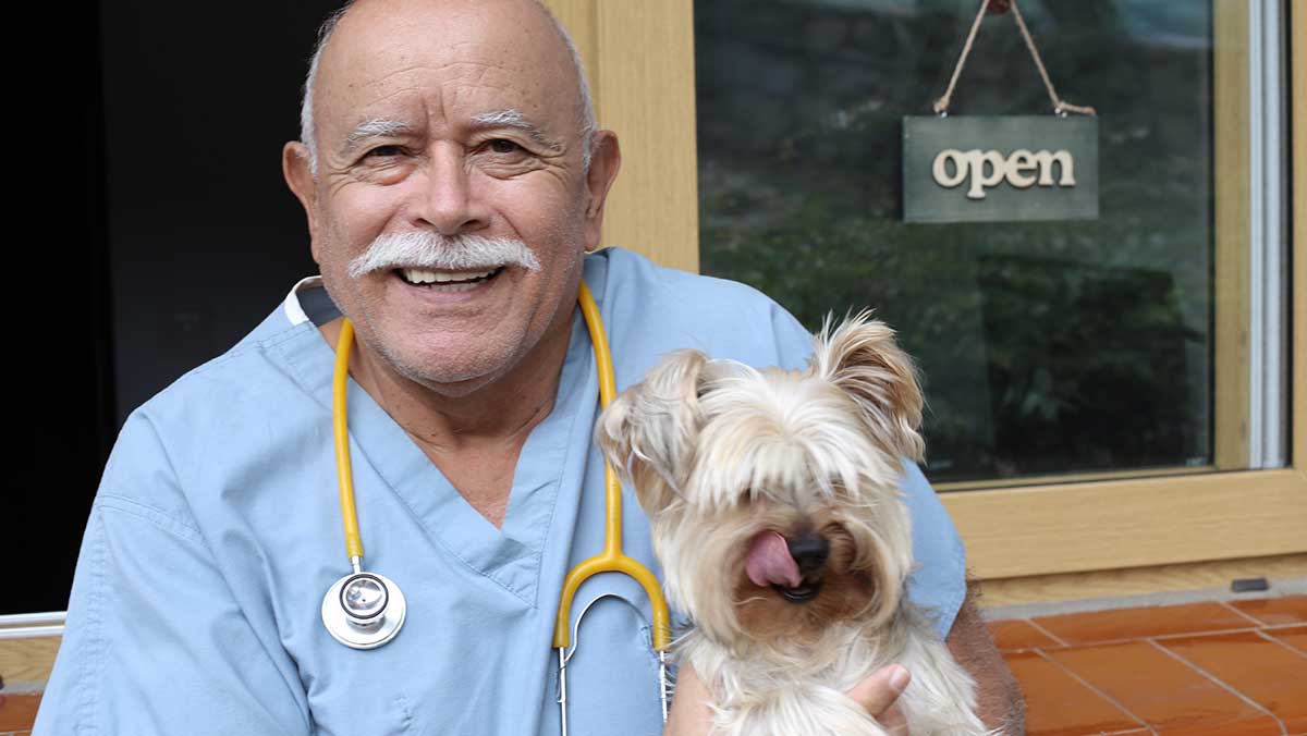 Strategies for Maximizing Veterinary Practice Value